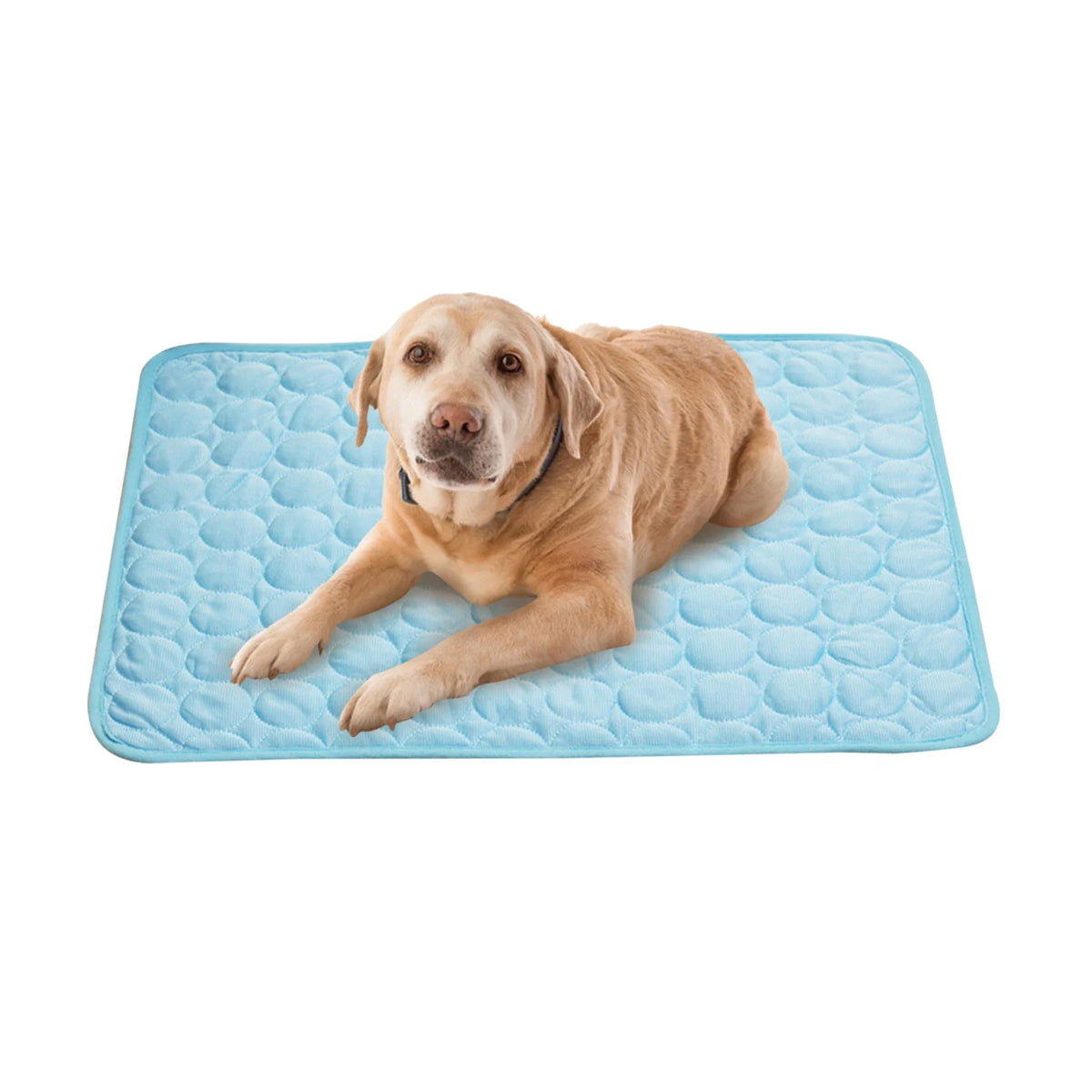 HOARBOEG Summer Cooling Mat for Dogs Cats Ice Silk Self Dog Cooling Mat ​Breathable Pet Crate Pad Portable & Washable Pet Cooling Blanket for Small Medium and Large Pet Outdoor or Home Us